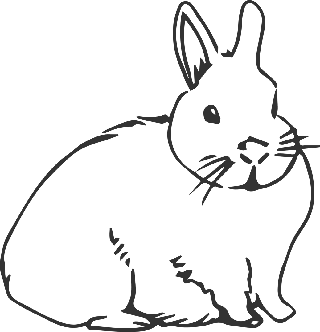 Black Rabbit Digital Sketch Illustration on Transparent Background - Download Free Stock Images Pikwizard.com