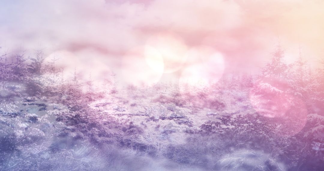 Magical Winter Wonderland with Soft Light Effects