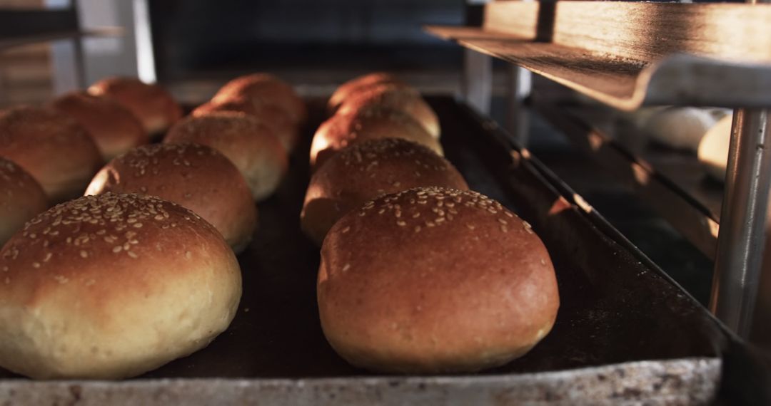 Close-Up of Freshly Baked Bun Rolls with Sesames on Baking Tray - Free Images, Stock Photos and Pictures on Pikwizard.com