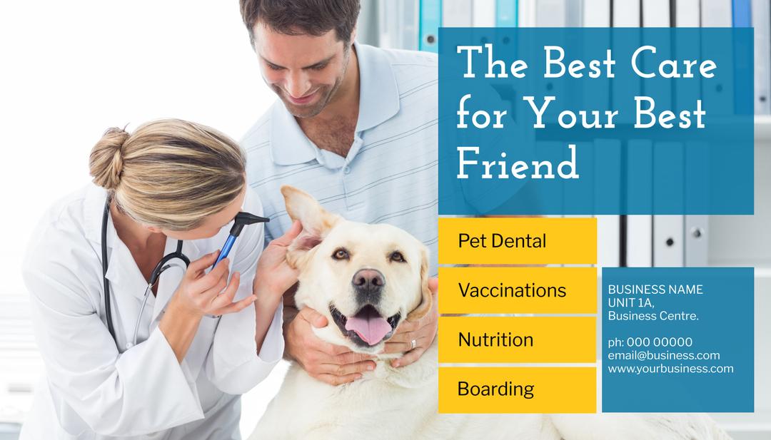 Vet ad promotes trust with a vet examining a joyful dog. from Pikwizard