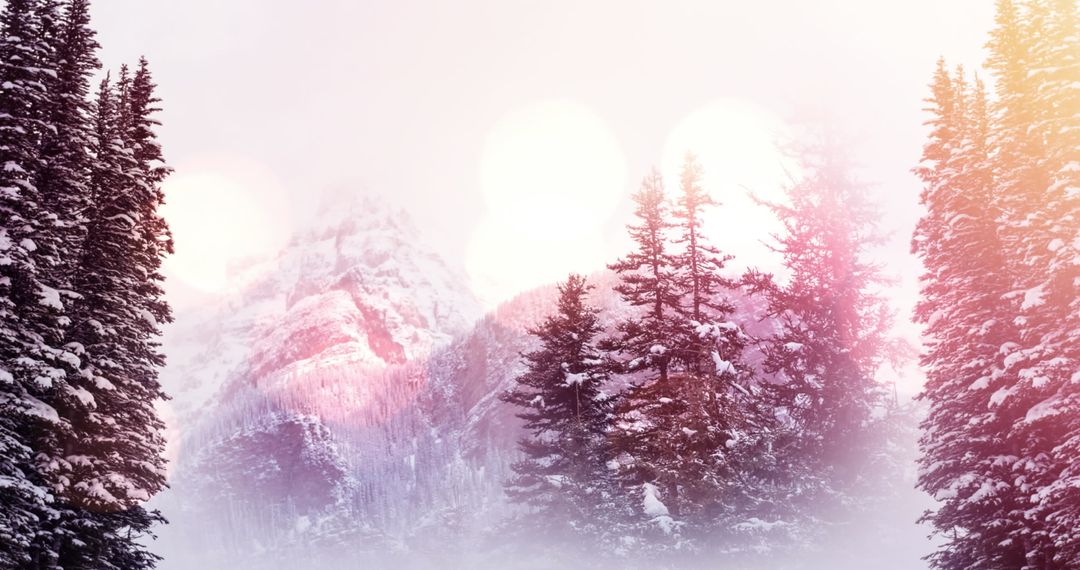 Enchanting Winter Scene with Soft Light Bokeh