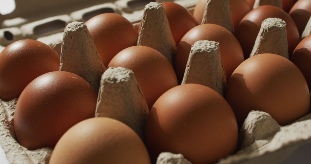 Close-Up of Brown Eggs in Cardboard Egg Carton - Free Images, Stock Photos and Pictures on Pikwizard.com