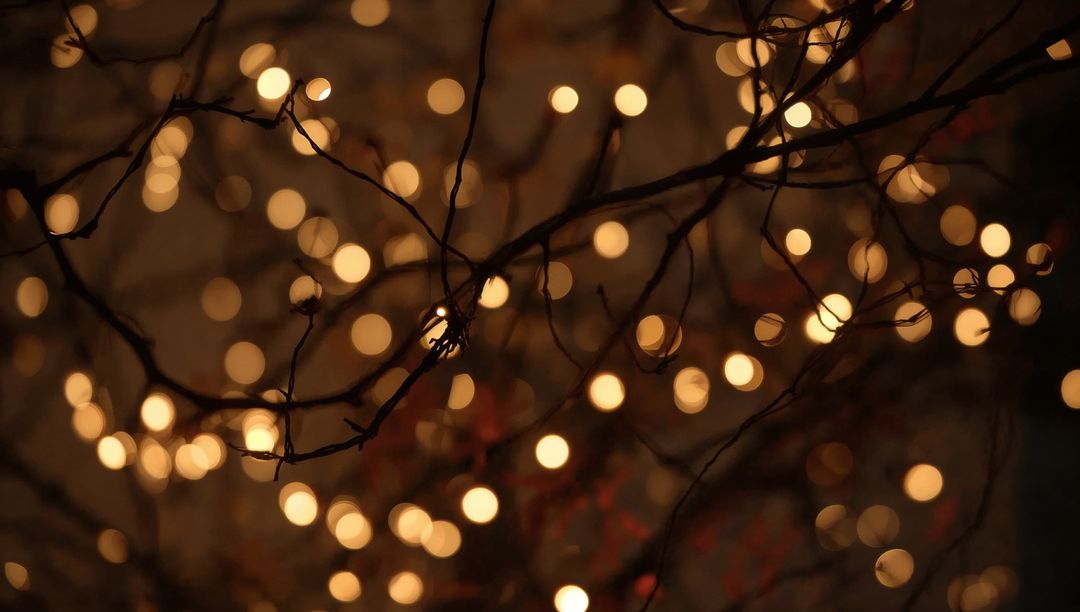 Warm bokeh lights threading delicate leafless branches creating glowing night silhouettes