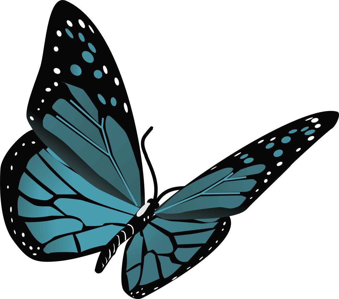 Teal-Blue Butterfly Flapping Wings on Transparent Background