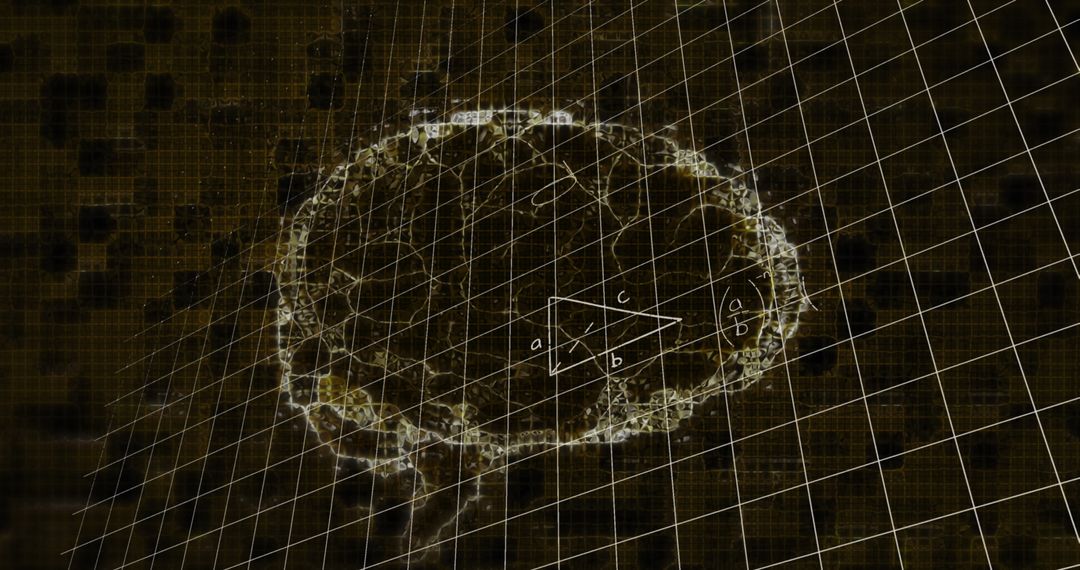 Digital Brain Model with Mathematical Equations on Grid Overlay