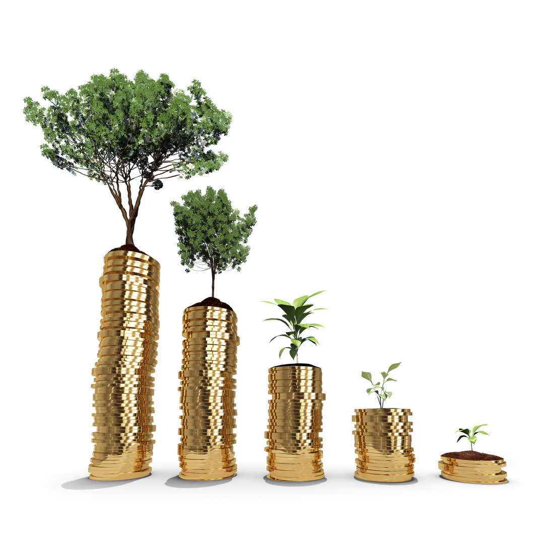 Transparent Illustration of Growing Coin Piles with Trees and Plants - Download Free Stock Images Pikwizard.com