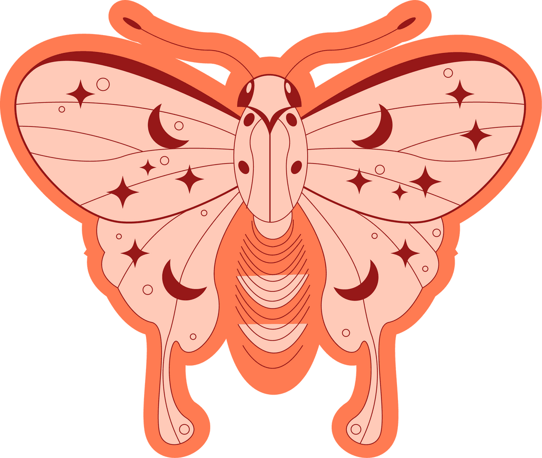 transparent flat design butterfly with celestial patterns - Download Free Stock Images Pikwizard.com