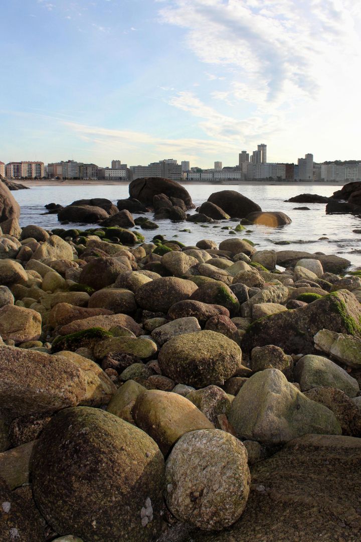 Rocky Shoreline with Cityscape in Background - Free Images, Stock Photos and Pictures on Pikwizard.com
