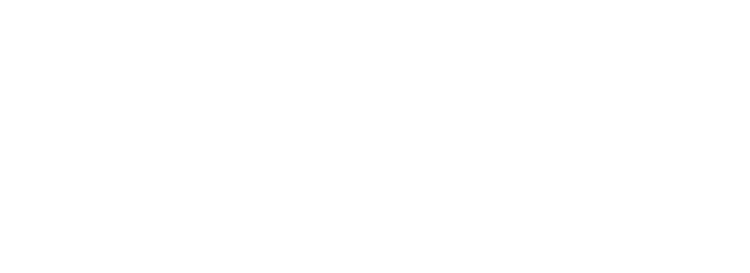 Transparent Summer Adventure Badge with Palm Trees Vector