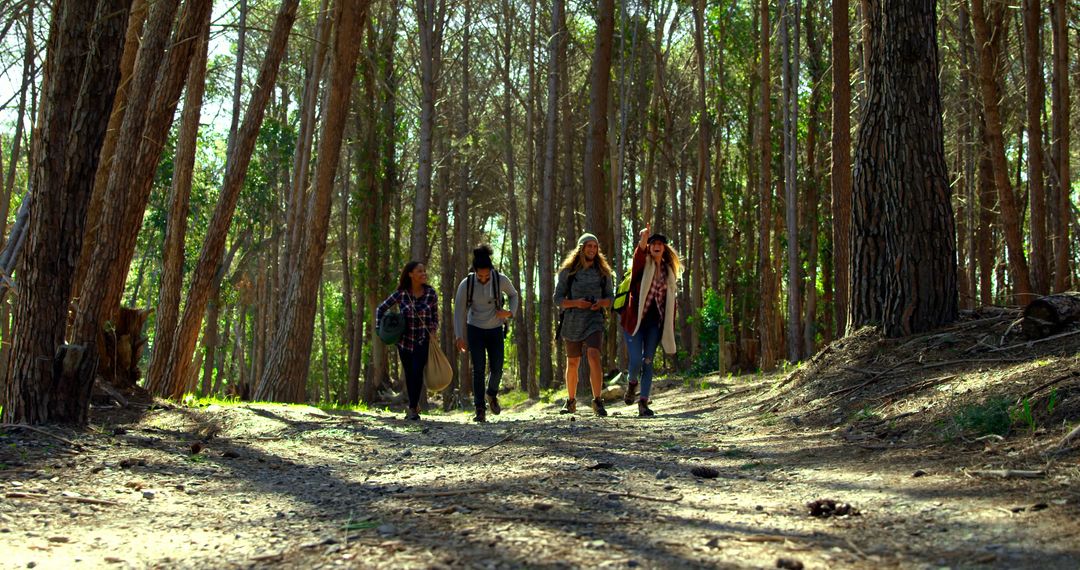 Group of Friends Hiking in Sunlit Forest Trail - Free Images, Stock Photos and Pictures on Pikwizard.com