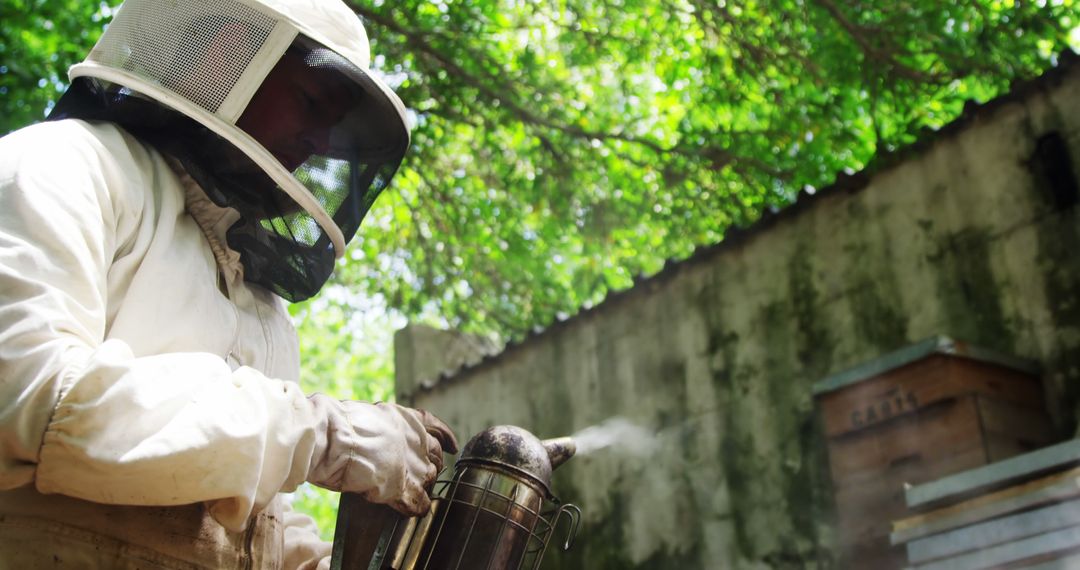 Beekeeper Using Smoker to Calm Honey Bees in Close-Up Outdoor Shot - Free Images, Stock Photos and Pictures on Pikwizard.com