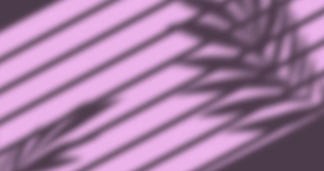 Leaf Shadows and Blinds Pattern on Pink Surface