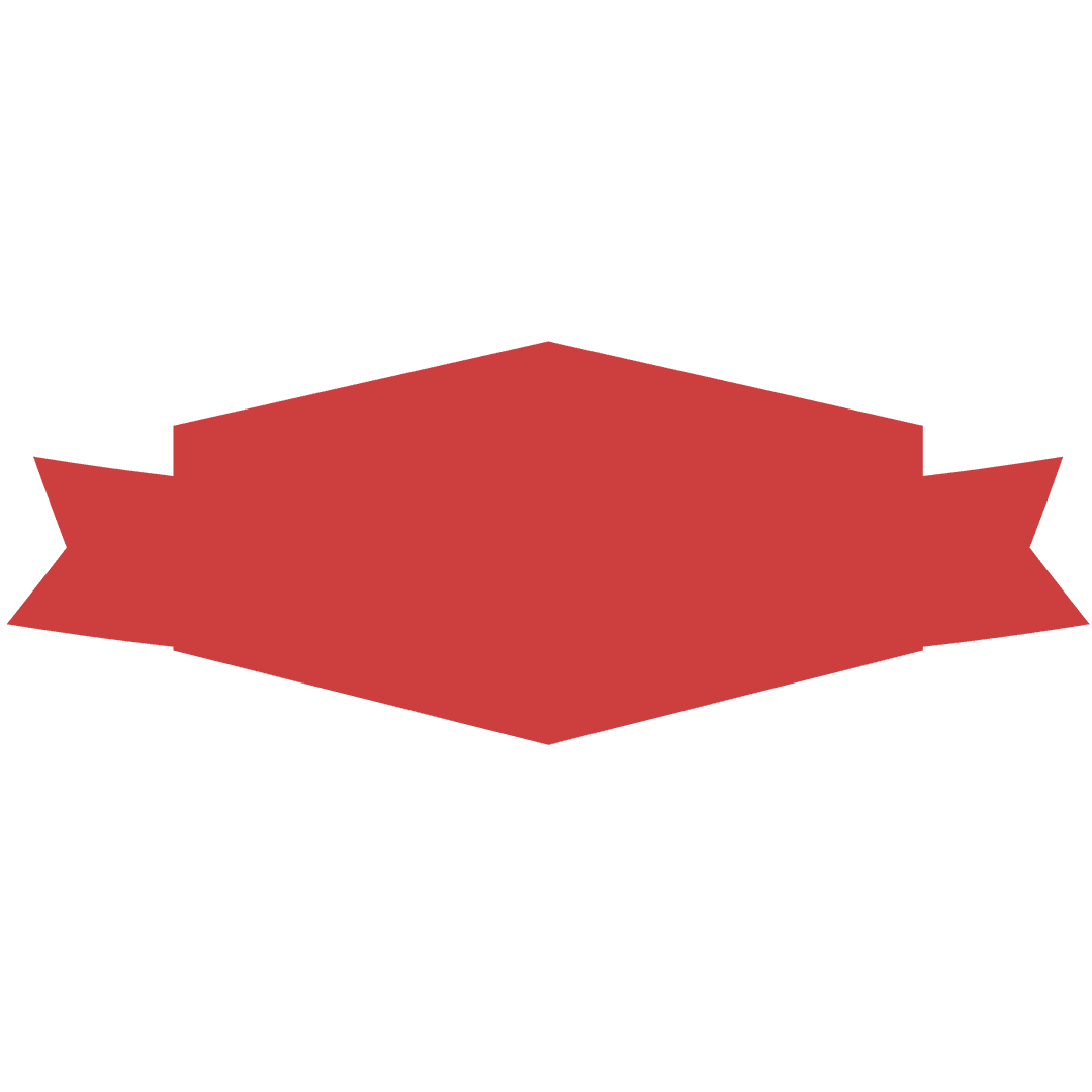 Red Abstract Hexagon Banner on Transparent Background