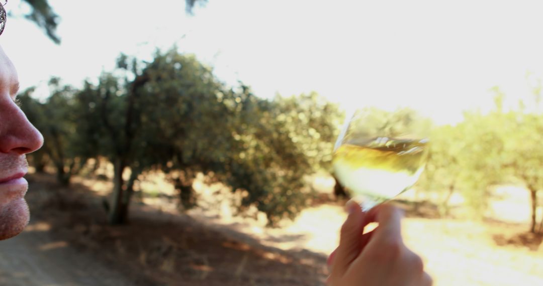 Man Holding a Glass of White Wine in Vineyard - Free Images, Stock Photos and Pictures on Pikwizard.com