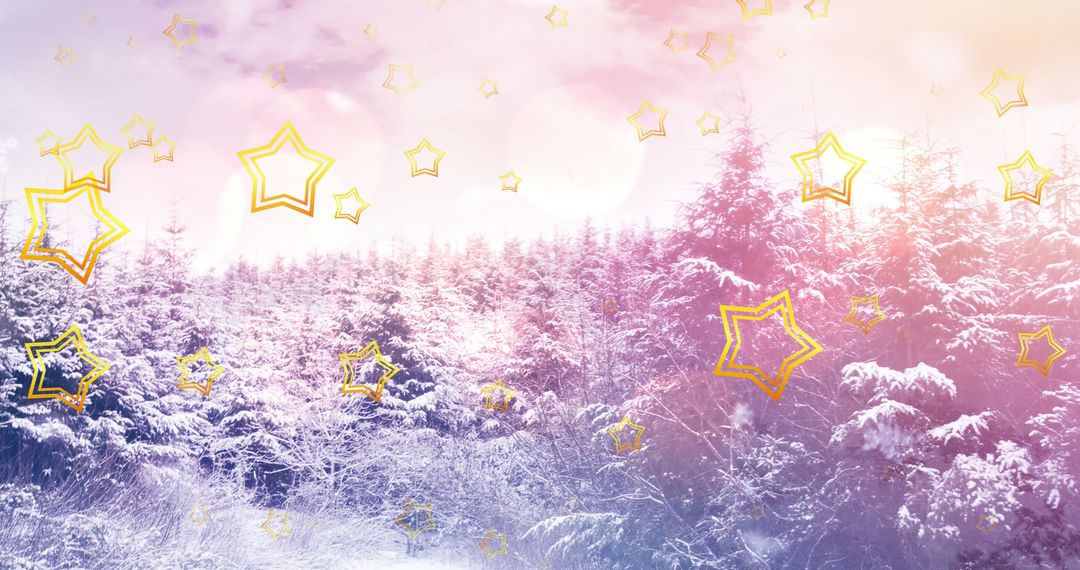 Magic Stars Descend Over Snowy Winter Forest at Christmas