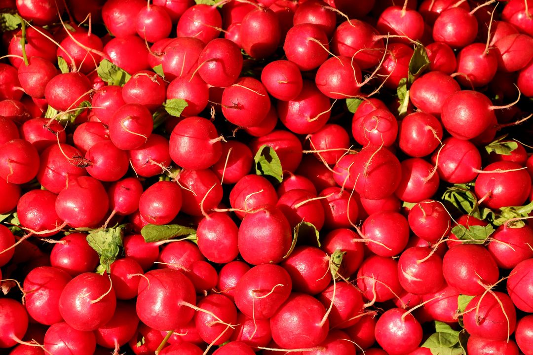 Full Frame Shot of Cherries in Market - Free Images, Stock Photos and Pictures on Pikwizard.com