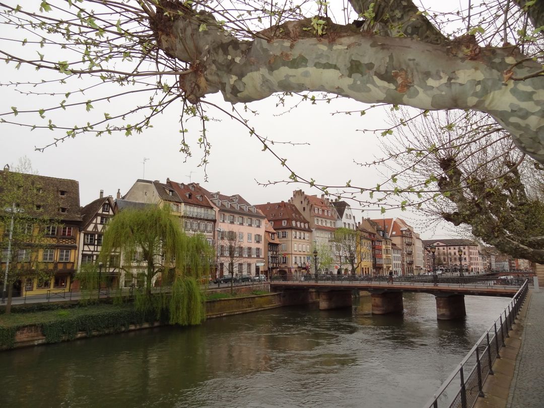 Historic European Town with Riverside View and Stone Bridge in Spring - Free Images, Stock Photos and Pictures on Pikwizard.com