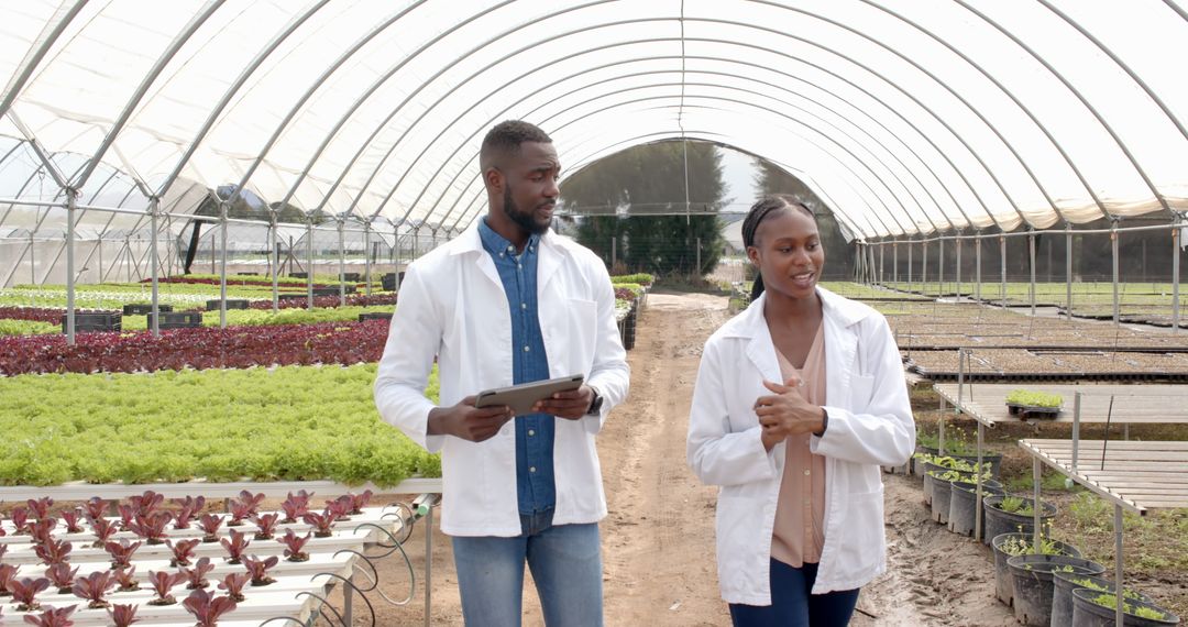 Scientists Discussing Strategies in Hydroponic Farm