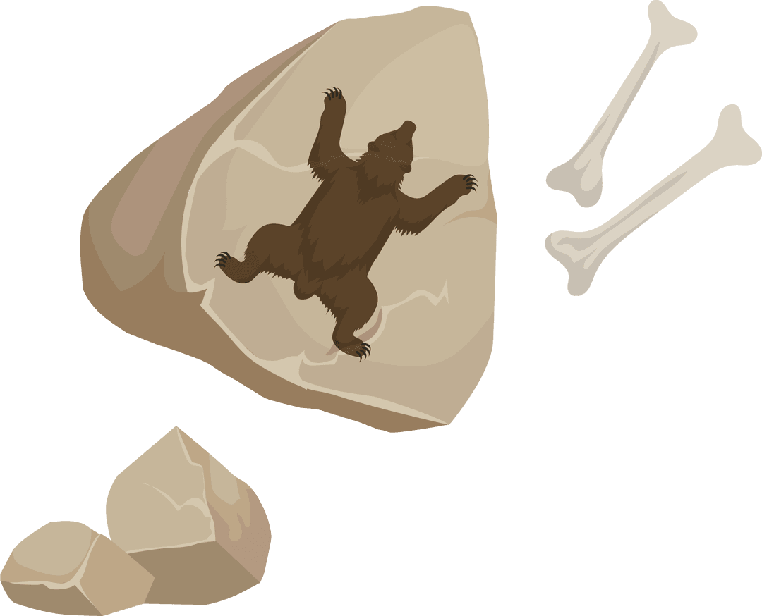 Fossil Bear Impression with Bones on Transparent Background