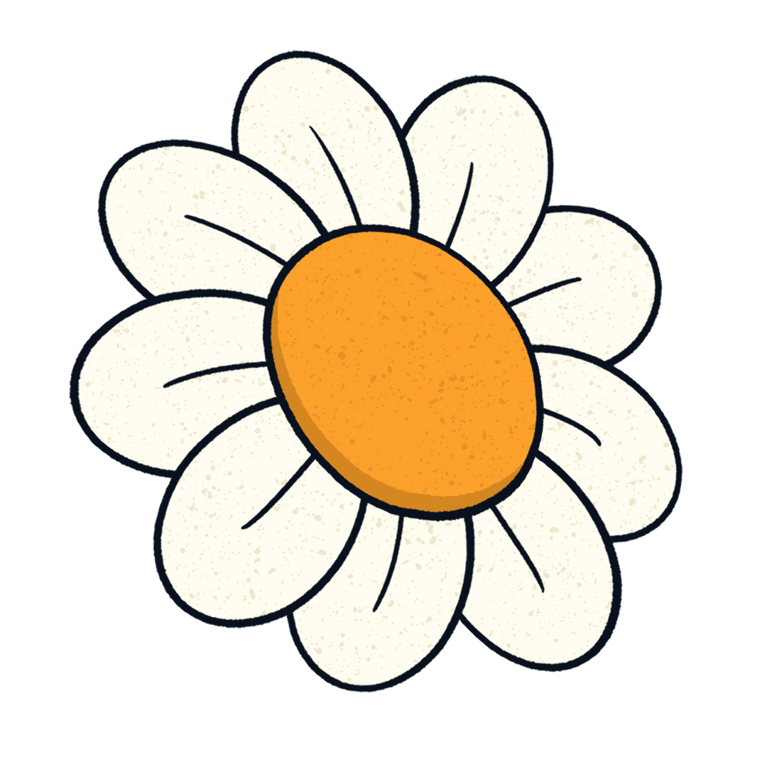 Transparent Flat Stylized Daisy Illustration with White Petals
