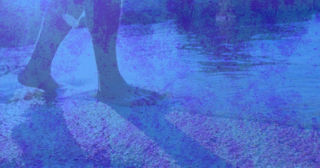 Tranquil Wading in Shallow Seashore Waters with Ripples