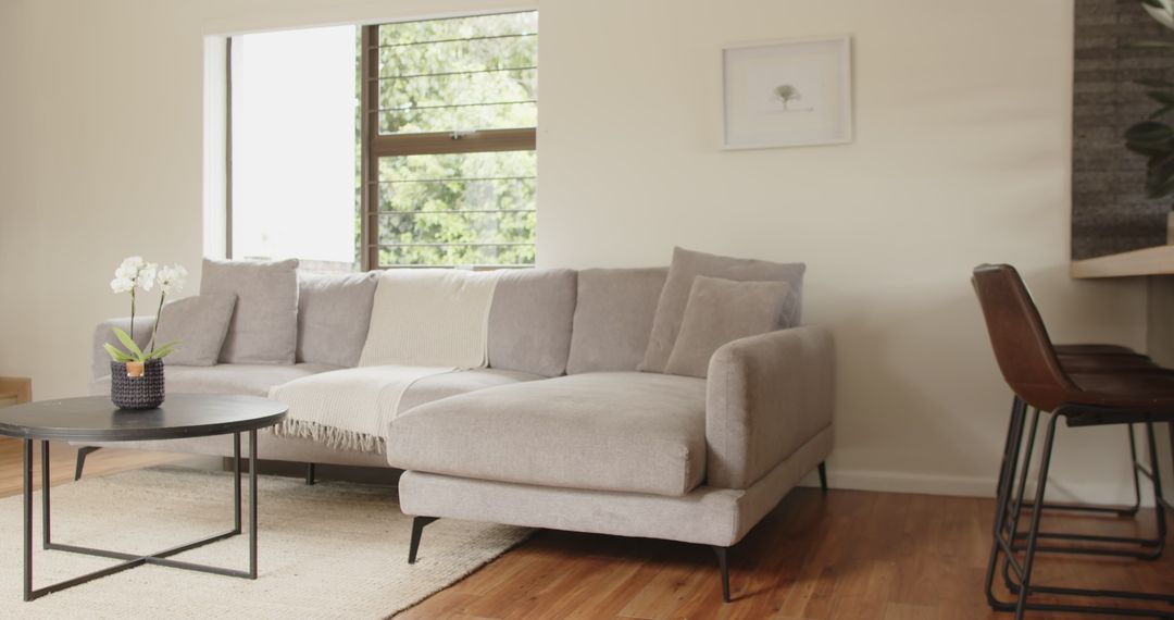 Contemporary Minimalist Living Room with L-shaped Sofa and Nature Elements