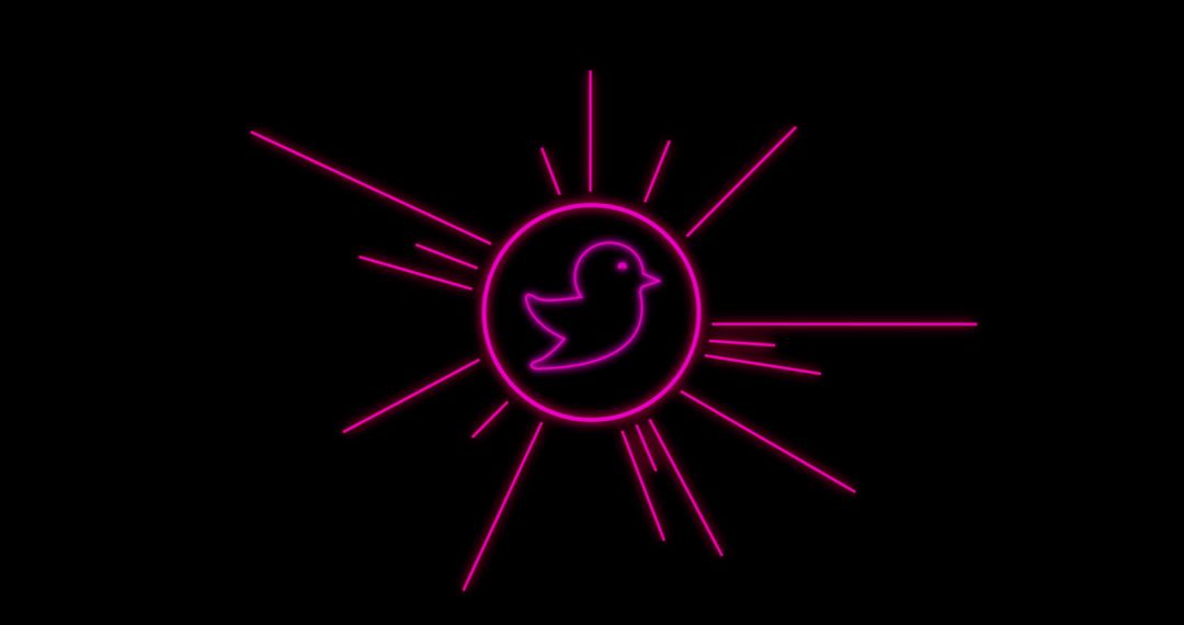 Neon Twitter Icon on Black Background Symbolizing Digital Communication
