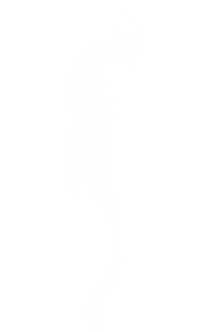 Digital Smoke Trail Illustration on Transparent Background