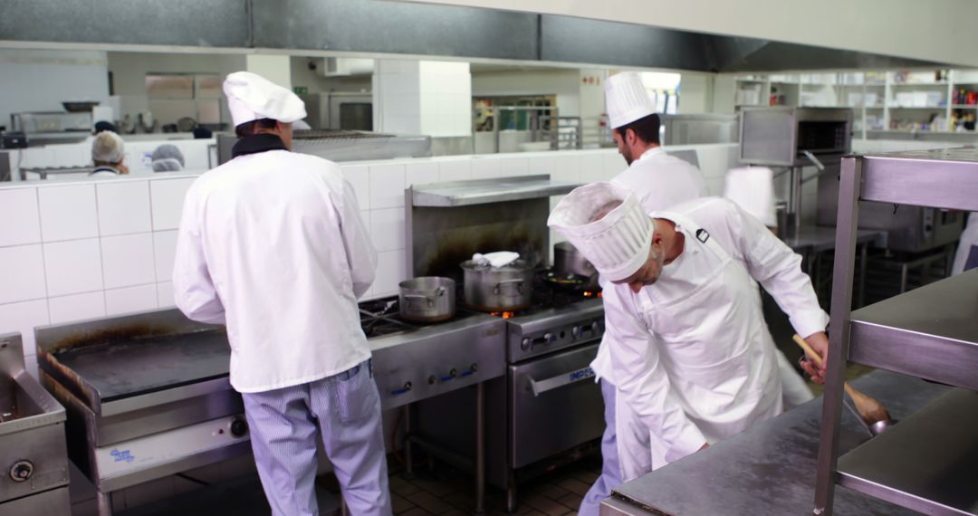 Chefs working in commercial restaurant kitchen - Free Images, Stock Photos and Pictures on Pikwizard.com