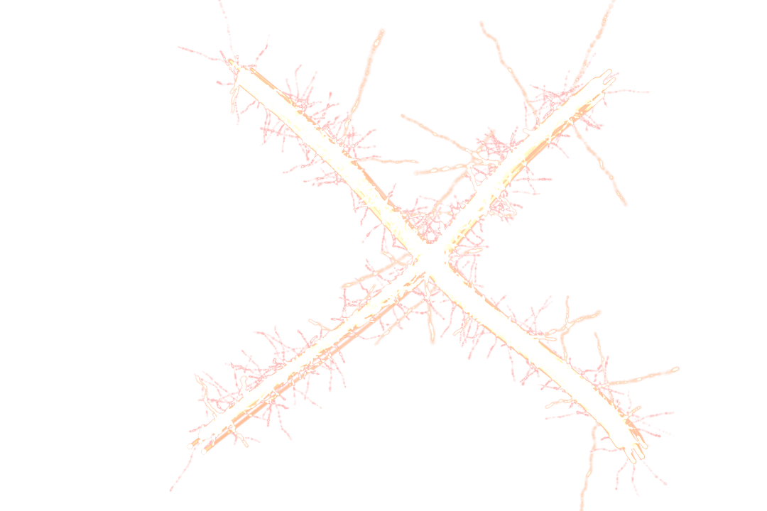 Abstract Glowing Pattern on Transparent Background