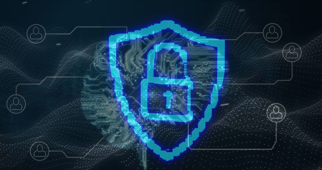 Digital Shield Securing Online Connections with Network Interface