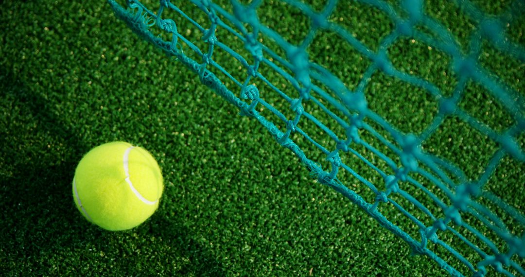 Tennis Ball Resting on Grass Field Next to Net - Free Images, Stock Photos and Pictures on Pikwizard.com