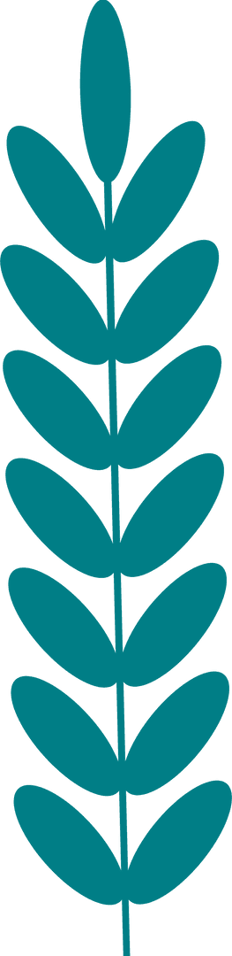 Minimalist Teal Botanical Sprig on Transparent Background
