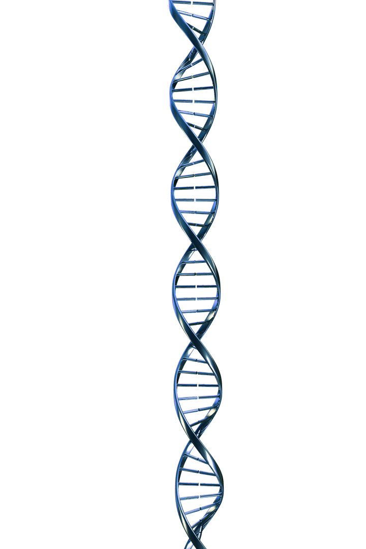 Transparent DNA Strand Vector Illustration on Blank Background - Download Free Stock Images Pikwizard.com