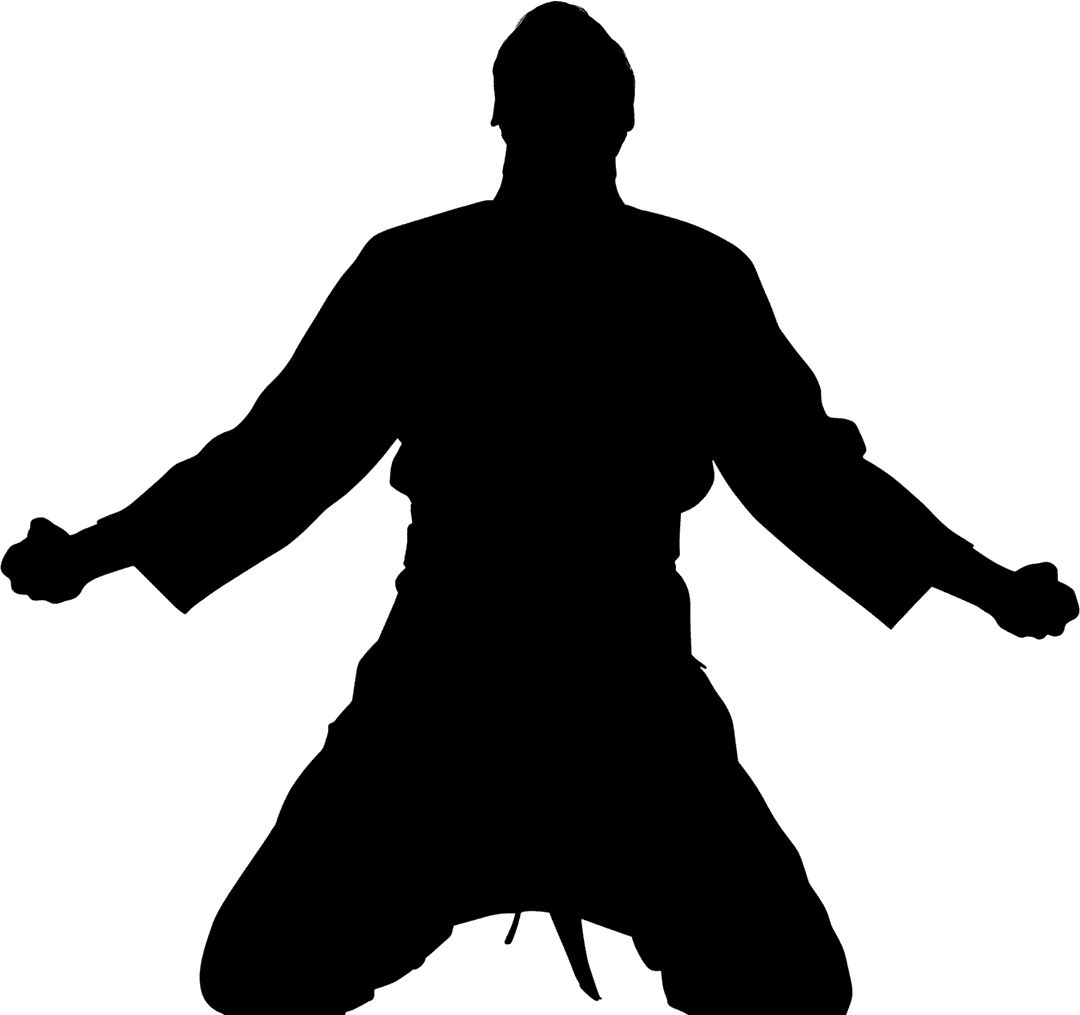 Martial Artist Silhouette Preparing For Combat Transparent PNG