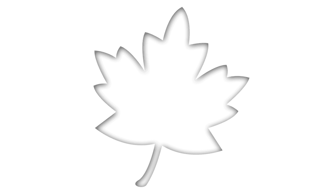Black Silhouette of Maple Leaf on Transparent Background