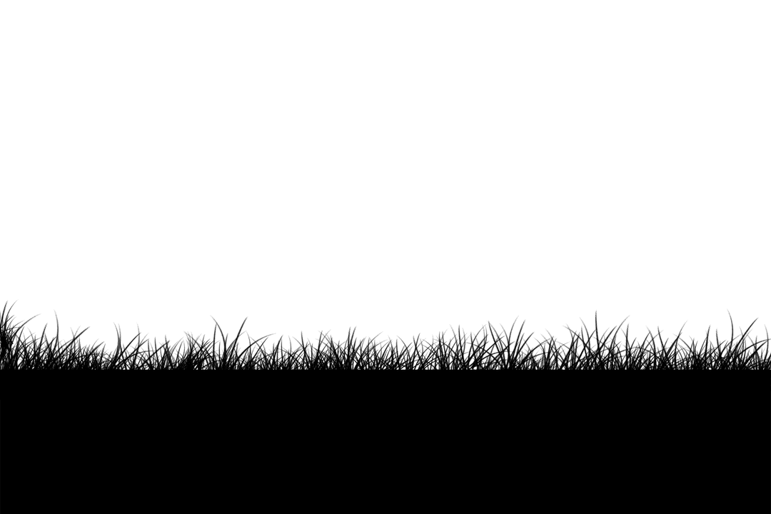 Silhouette of Grass on Transparent Background for Nature Designs