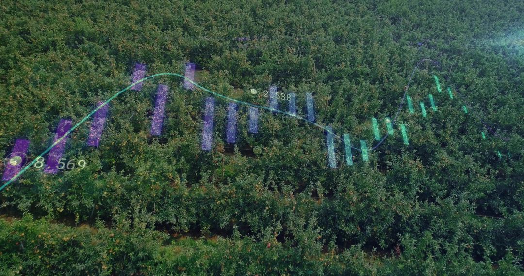 Aerial Orchard Displaying Data Visuals and Precision Agriculture Indicators