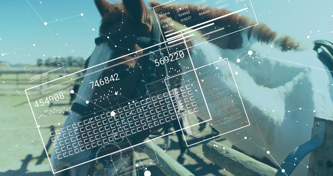 Augmented Reality Examined Equine in Rustic Ranch Environment