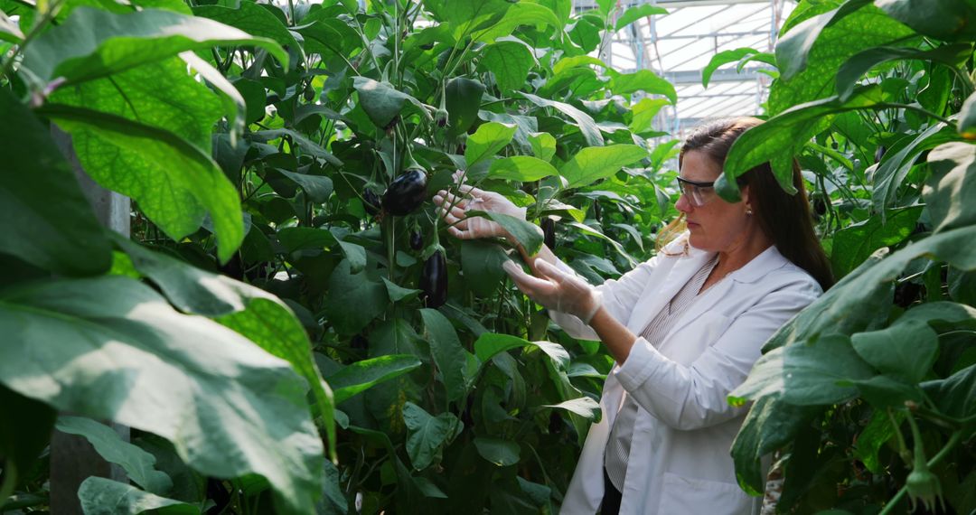 Female Scientist Examines Plants in Greenhouse - Free Images, Stock Photos and Pictures on Pikwizard.com