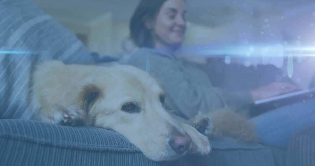 Relaxed dog sleeping next to woman working on laptop