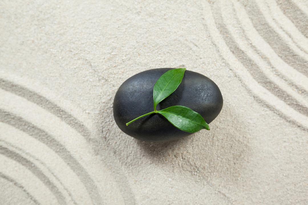Zen Garden Black Pebble with Green Leaves on Sand - Free Images, Stock Photos and Pictures on Pikwizard.com