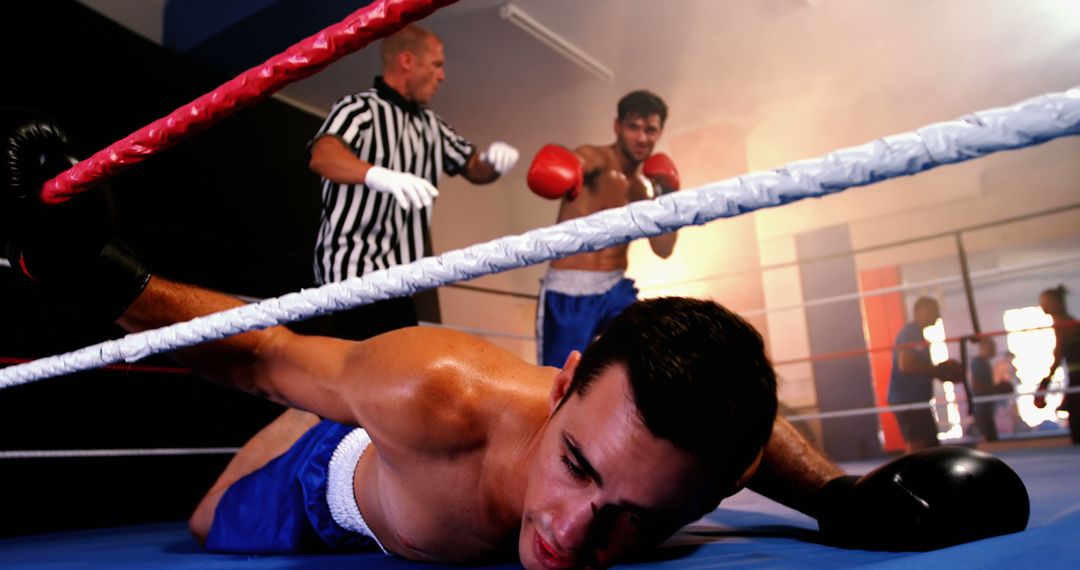 Boxer Down on Canvas After Knockout in Intense Boxing Match - Free Images, Stock Photos and Pictures on Pikwizard.com