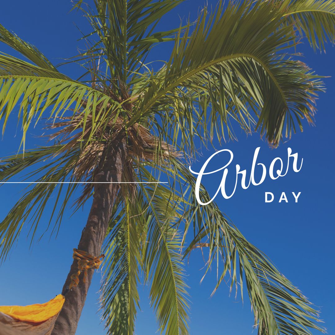 Palm Tree with Arbor Day Text in Blue Sky