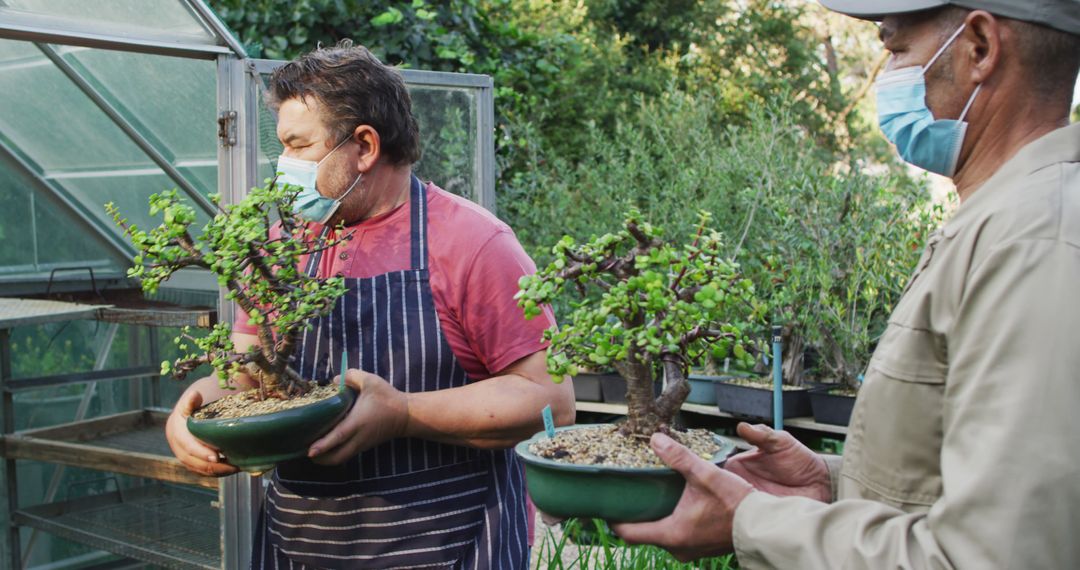 Two Gardeners Wearing Face Masks Holding Bonsai Trees - Free Images, Stock Photos and Pictures on Pikwizard.com