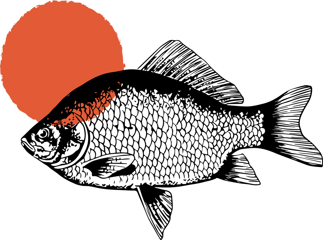 Minimalistic Fish Artwork with Red Circle on Transparent Background