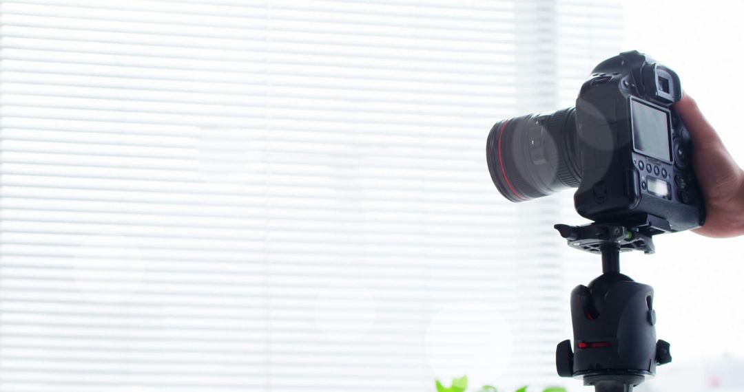 Photographer Adjusting DSLR Camera on Tripod by Tall Windows