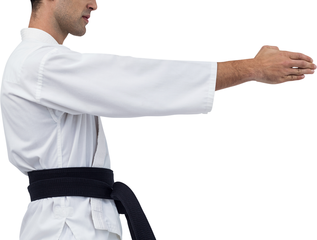 Transparent Half Body Karate Fighter Stance Performing Kata - Download Free Stock Images Pikwizard.com