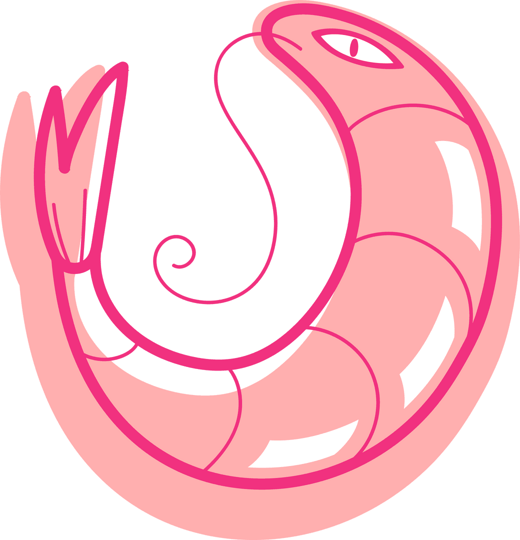 Whimsical Pink Shrimp Illustration on Transparent Background