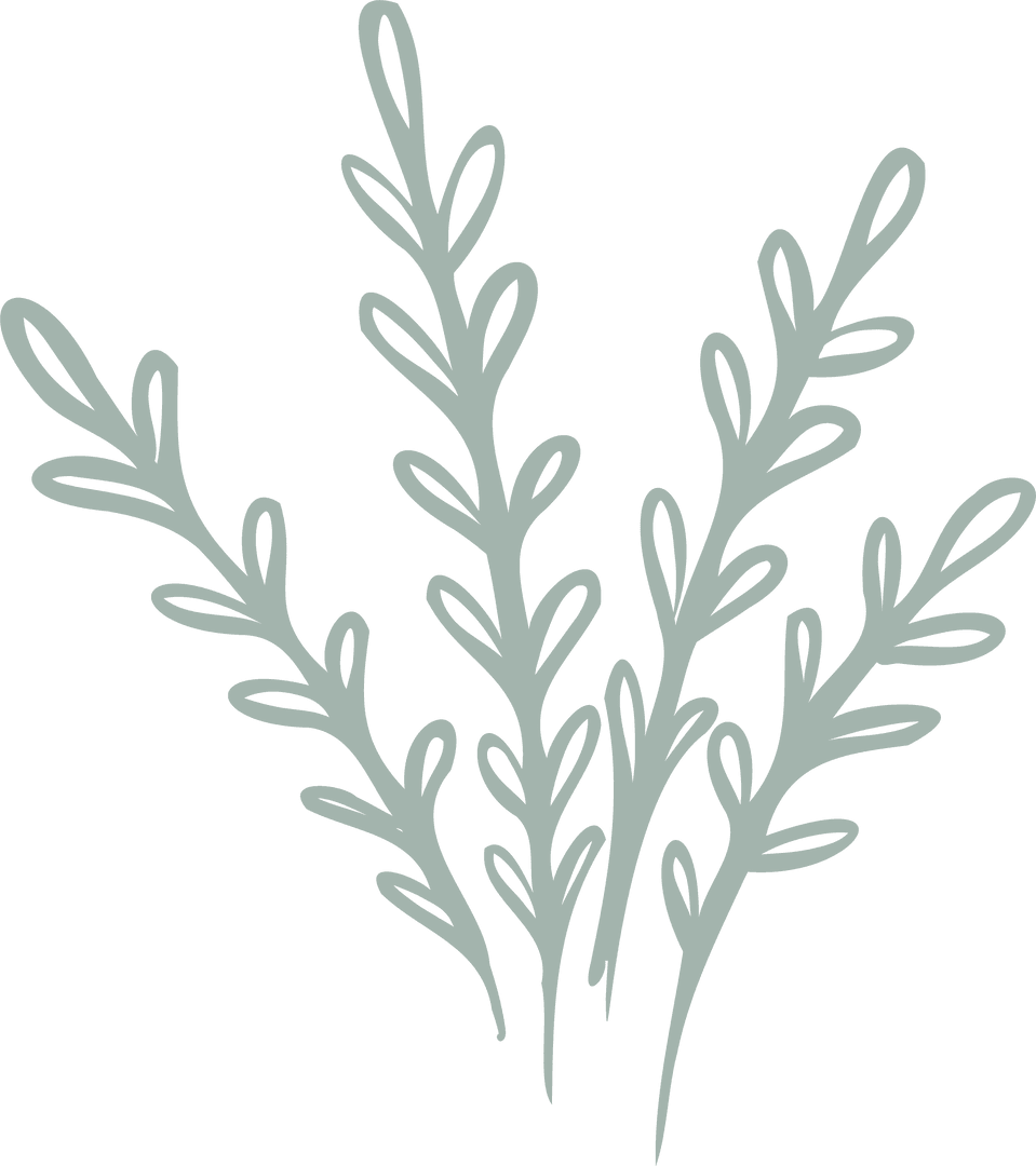 Botanical Minimalism with Slender Stems on Transparent Background